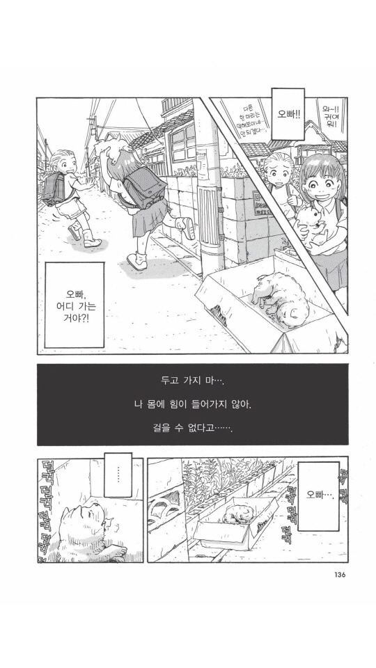 개를 주워오면 안되는 이유 | 인스티즈