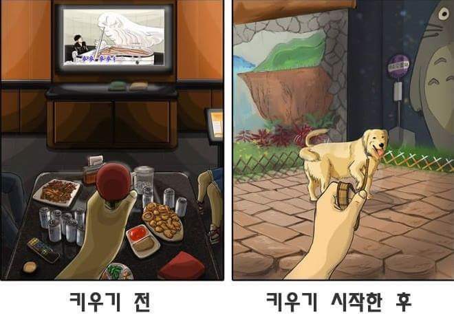 애완동물 키우기 전과 후 | 인스티즈
