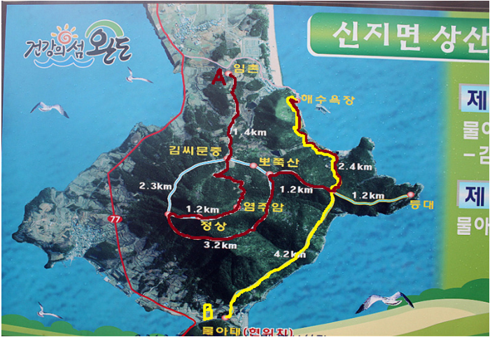 완도장갑 이미지