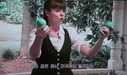 반려동물 교배에 대해 생각하고 있다면 꼭 한번 읽어봤으면 하는 글 | 인스티즈