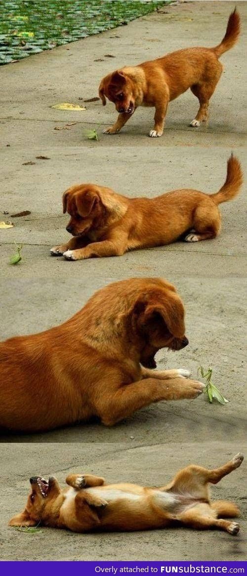 친구인줄 알았는데 | 인스티즈
