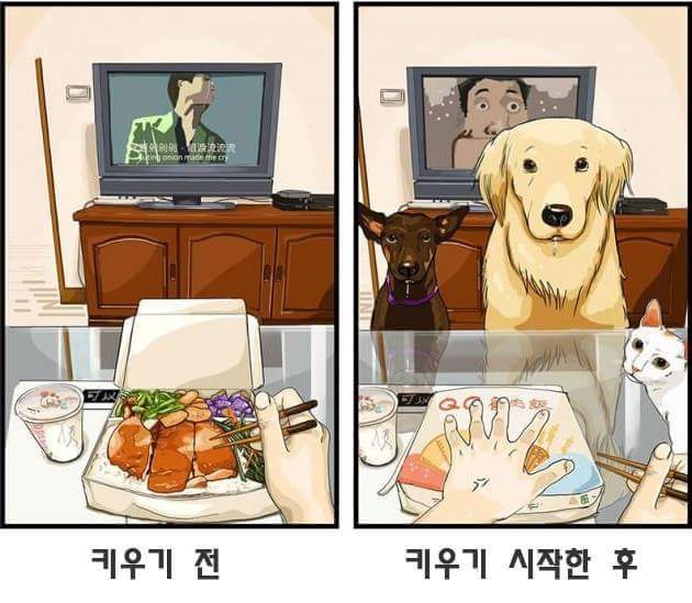 애완동물 키우기 전과 후 | 인스티즈