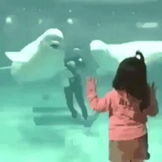 초음파 공격.gif | 인스티즈