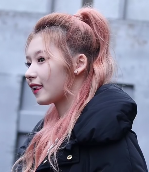 ㅎㄷㄷ한 사나 콧대 | 인스티즈