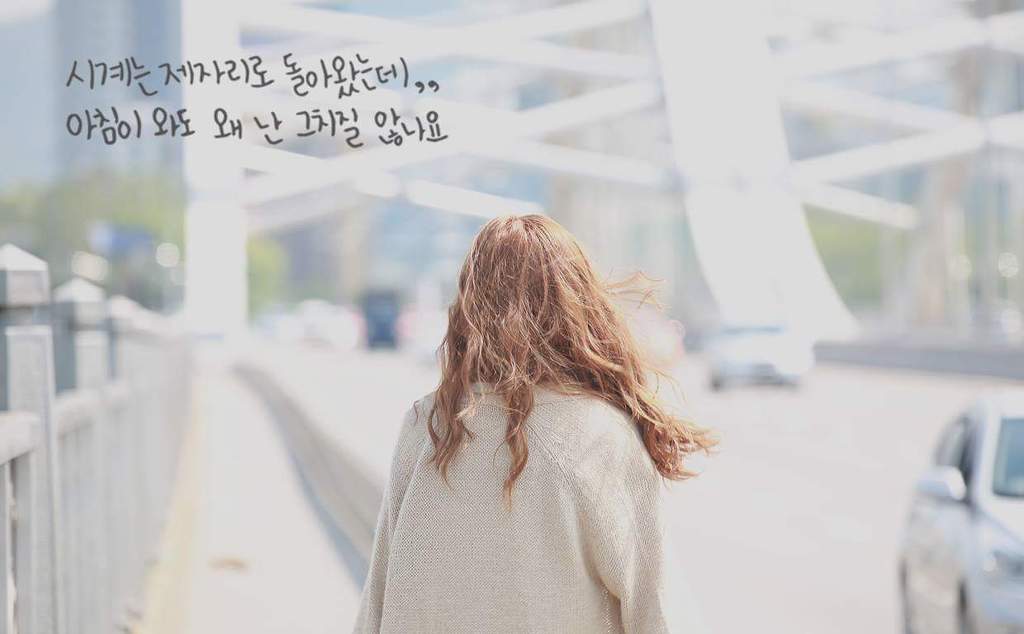 채원 이미지