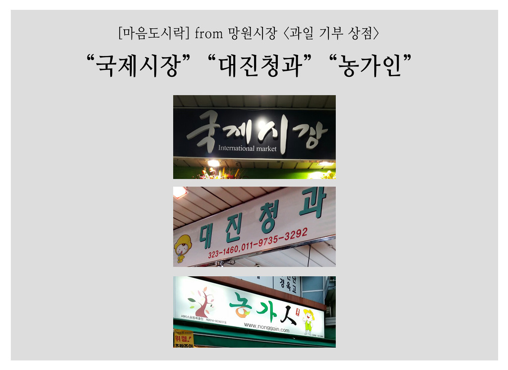 대진청과 이미지