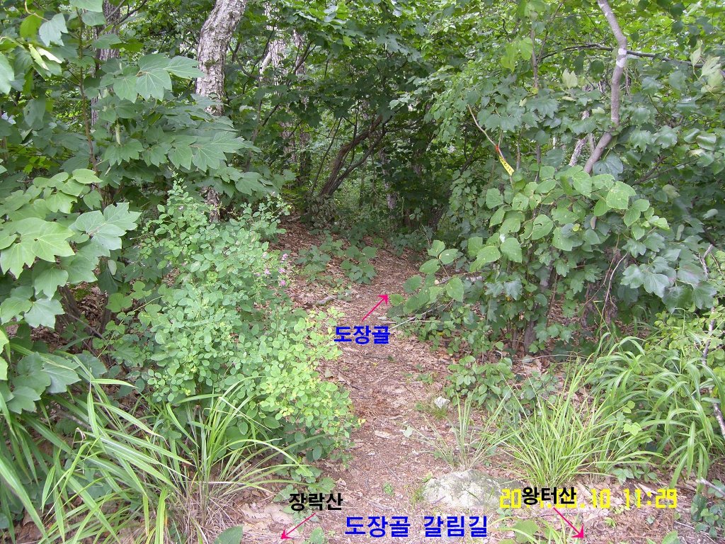 왕터산 정상 이미지