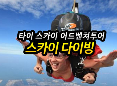 SKY투어 이미지