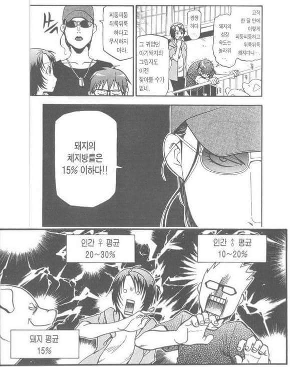 돼지라고 하지마라 | 인스티즈