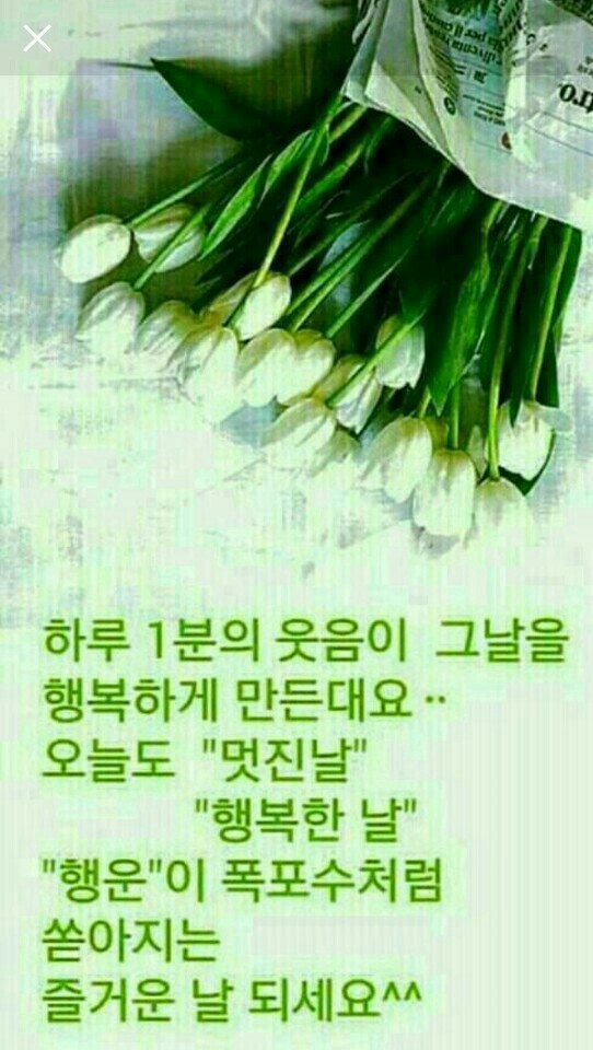 프린 이미지