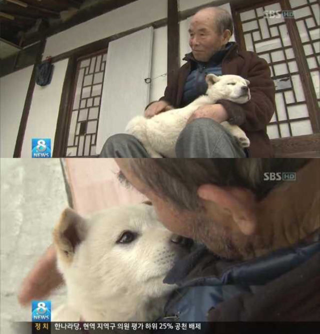 가 주인을 보는 눈빛 | 인스티즈