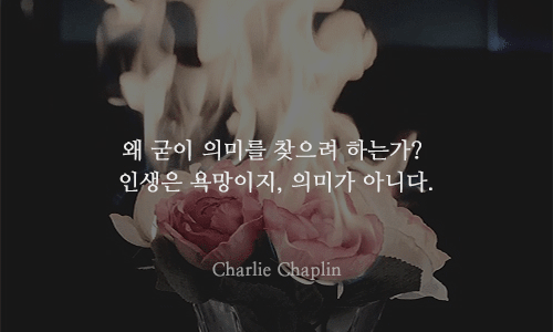 천재들의 12가지 명언 | 인스티즈