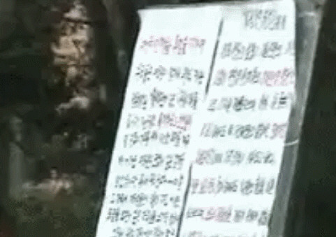  탁 치니 억 하고 죽었다는 서울대학생 | 인스티즈
