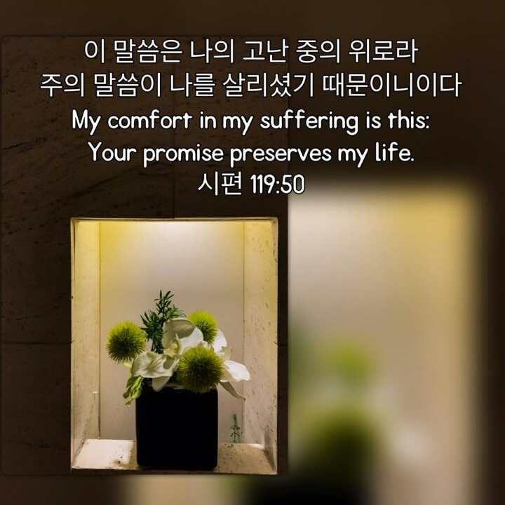 솔트라인 이미지