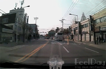 제발 무단횡단 하지 맙시다...gif | 인스티즈