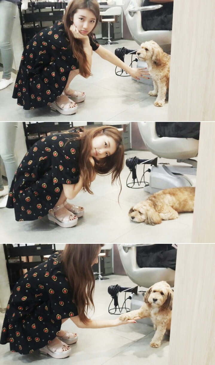 수지도나 이미지