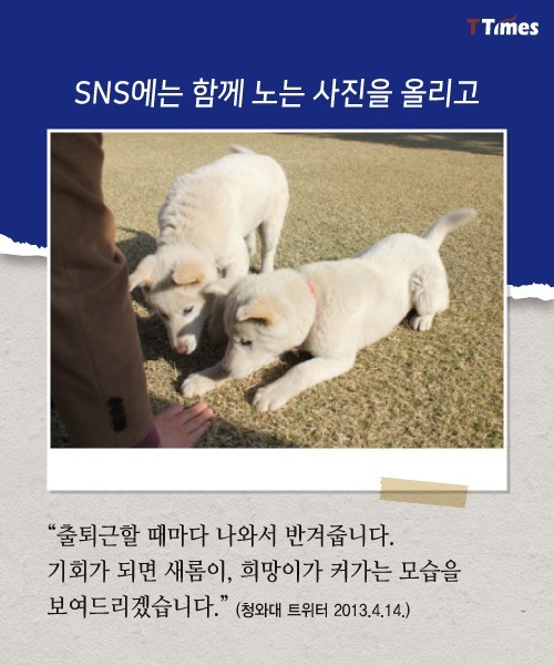 박근혜를 거쳐 간 강아지들 스토리 | 인스티즈