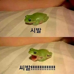 과거 많은 여자아이들의 첫사랑 | 인스티즈