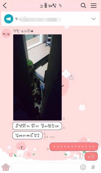 고양이가 문잠궈서 못들어가고있어요ㅜㅜ | 인스티즈