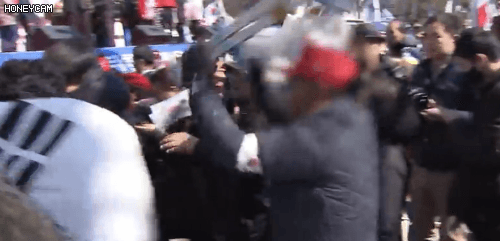 사다리로 사람 때리는 박사모 ㄷㄷ.GIF | 인스티즈