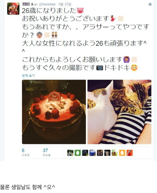 쿠시 AV 배우랑 사귄다는 말이... | 인스티즈