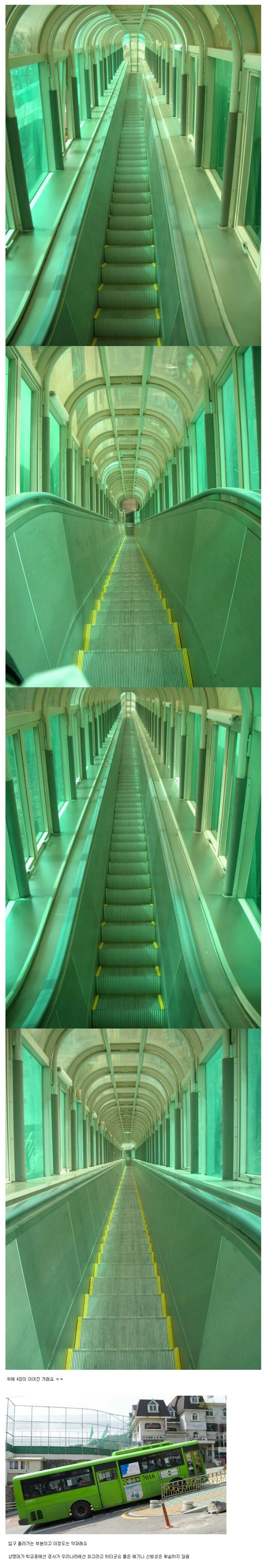 넘어지면 죽는다는 에스컬레이터.jpg | 인스티즈