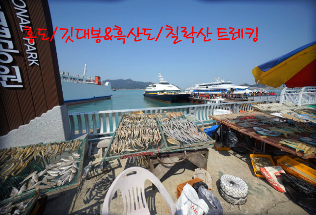 대성여행사 이미지