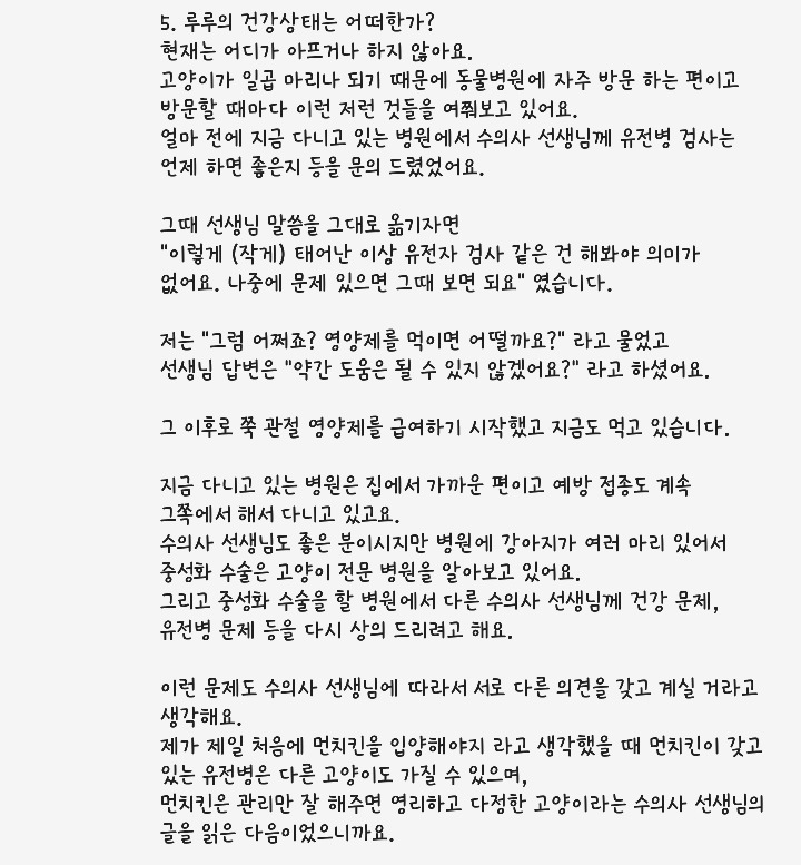 크림히어로즈 7월 9일 라이브포함 피드백 정리 | 인스티즈