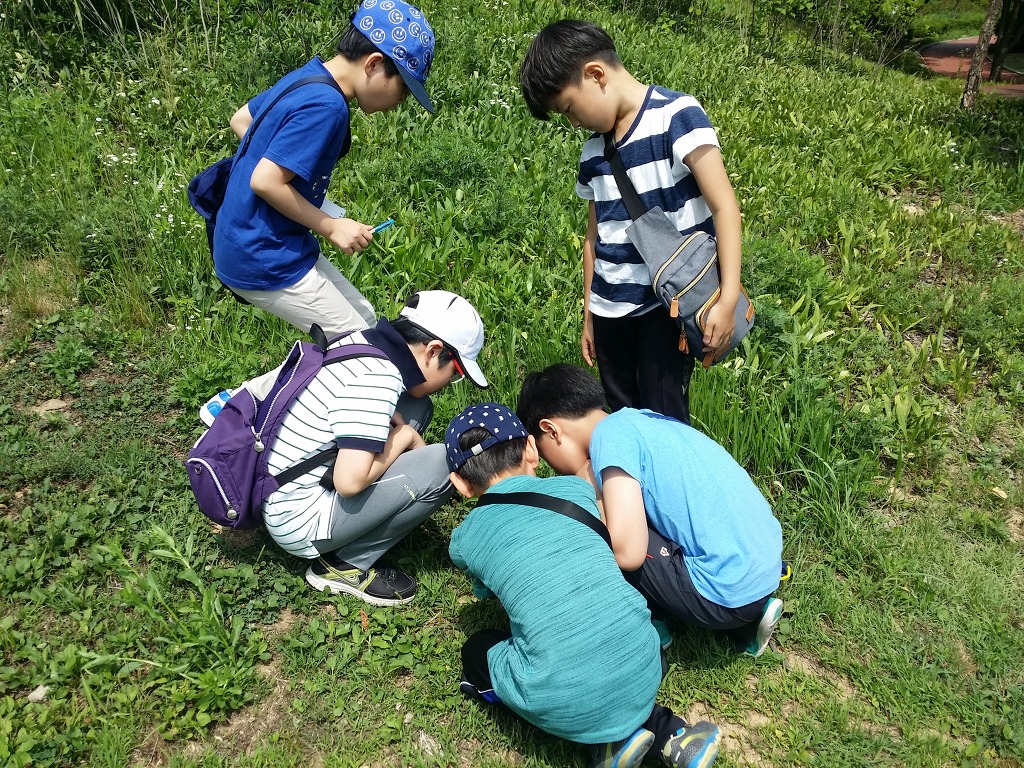 소안초등학교 이미지