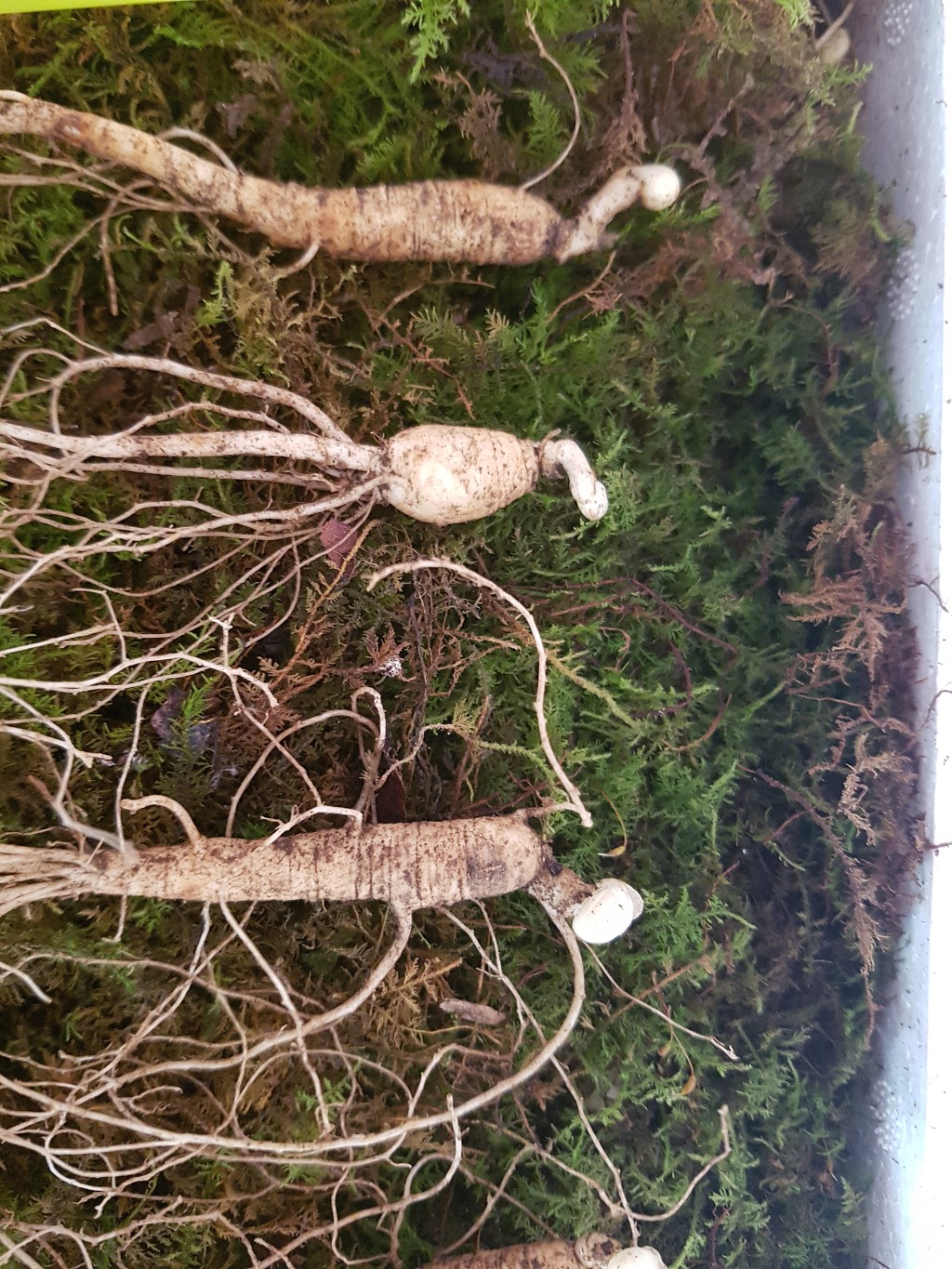 산양농업협동조합 이미지