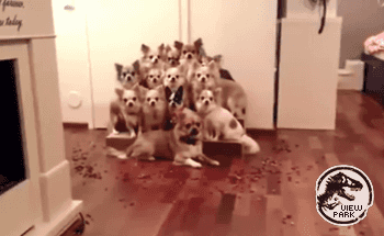 사진좀 찍을줄아는 들.gif | 인스티즈