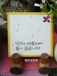 해뜨락 이미지