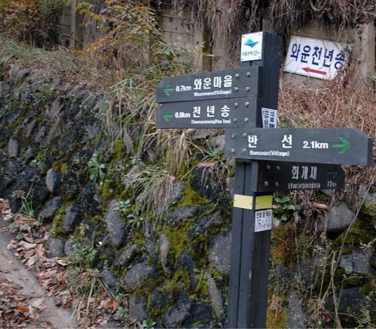 와운가든 이미지