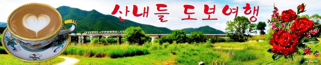 홍천강아침의향기펜션 이미지