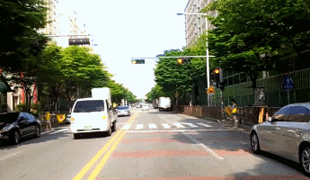 운전자들 심쿵하게 만드는 자라니들.gif | 인스티즈
