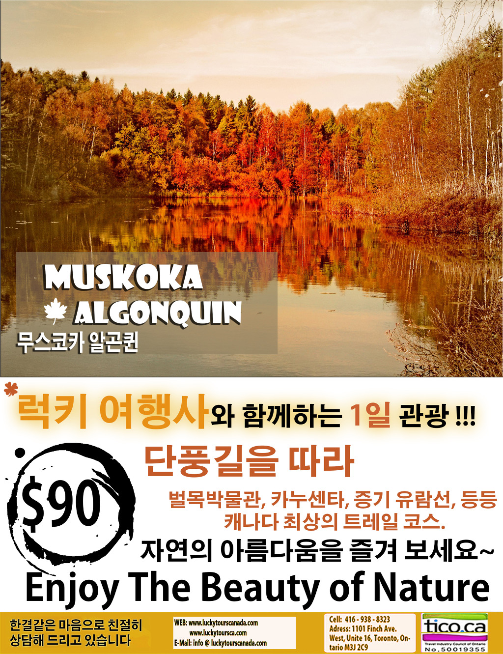 럭키관광여행사 이미지