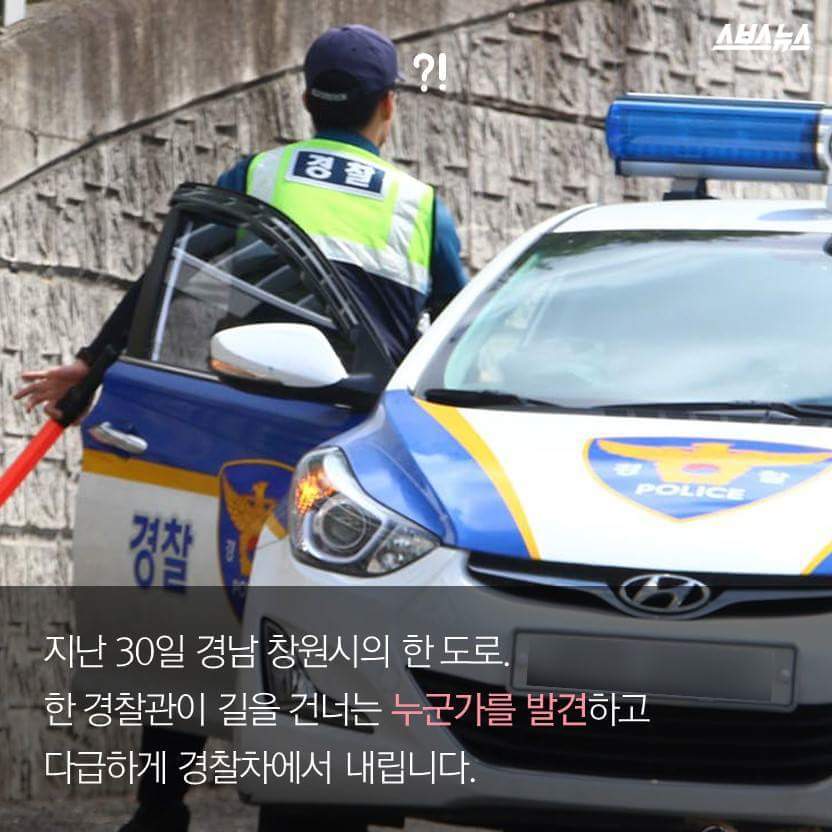 당신은 당신의 이웃을 사랑하십니까? | 인스티즈