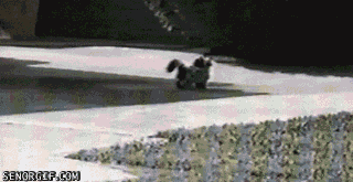딱 기다려라 본캐 가지고옴.gif | 인스티즈
