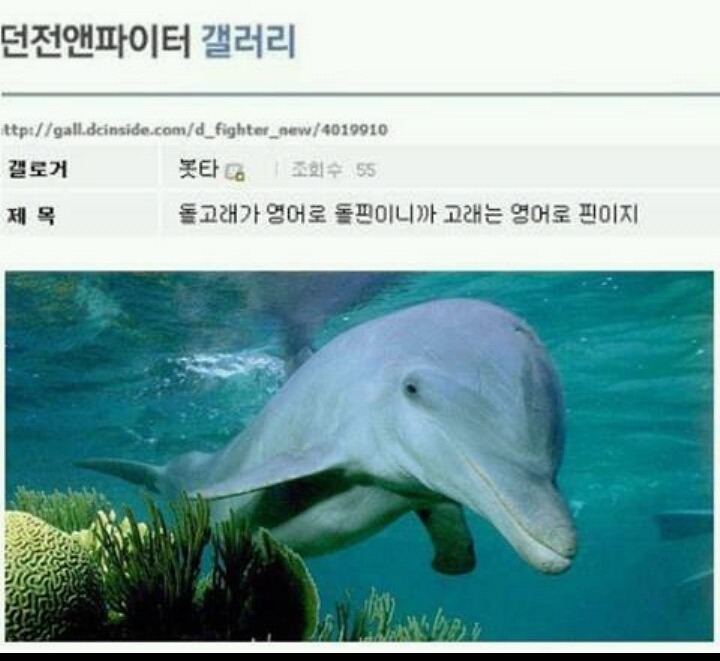 기적의 언어학자.jpg | 인스티즈
