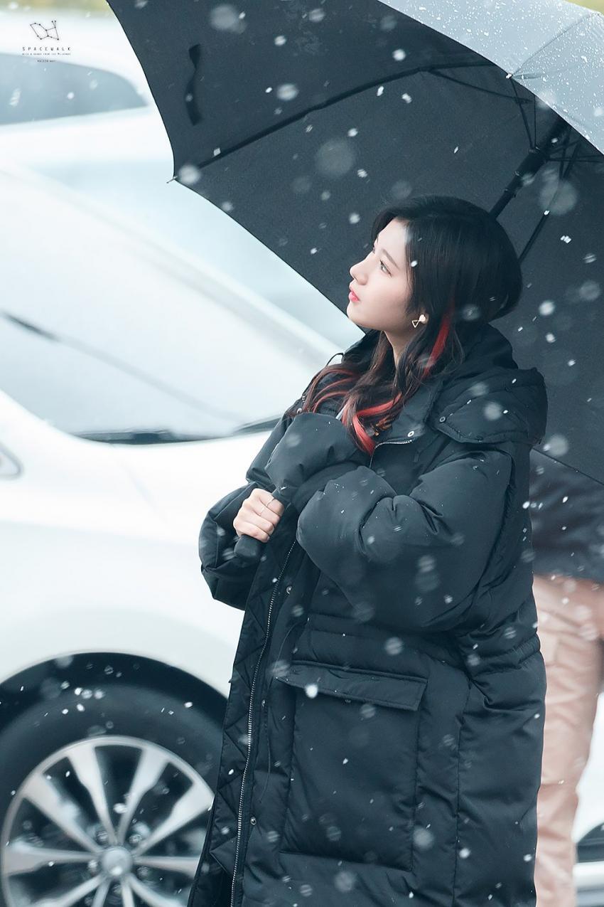 [트와이스] 첫눈속에 피는 사나 | 인스티즈