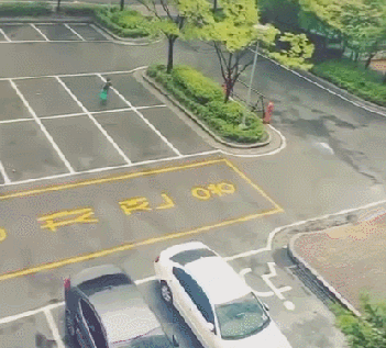 인생 노잼일때 보는 내 최애 움짤들.gif | 인스티즈