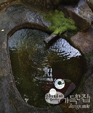 신라다실 이미지