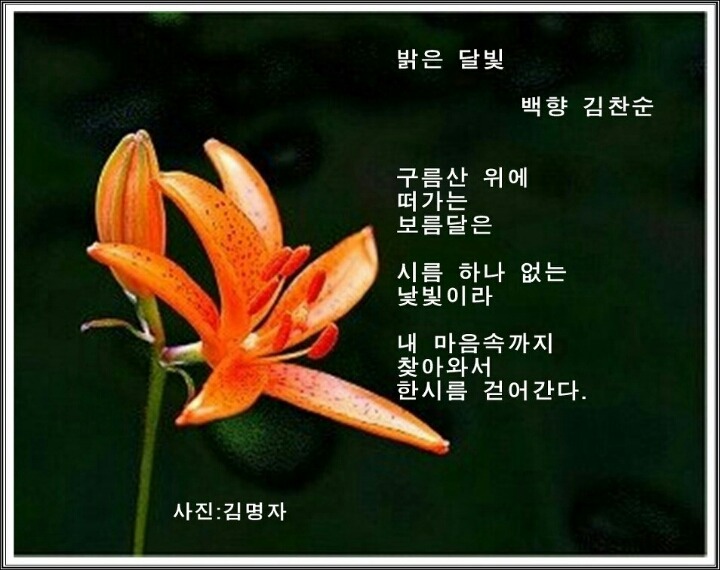 백향 이미지