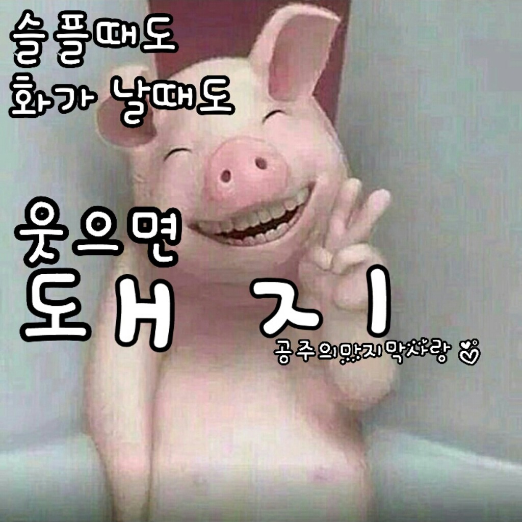 꿀꿀이 이미지