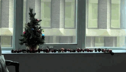 아주 사고뭉치다냥 | 인스티즈