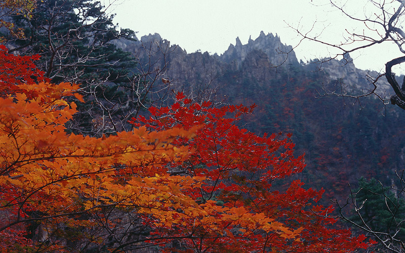 금강산 이미지