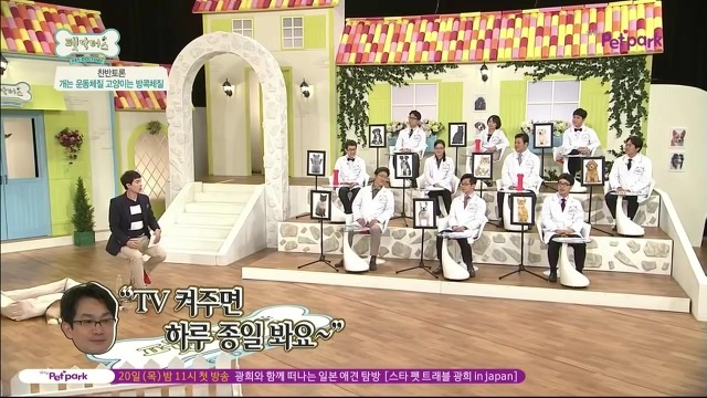 운동체질 강아지와 방콕체질 고양이?! | 인스티즈