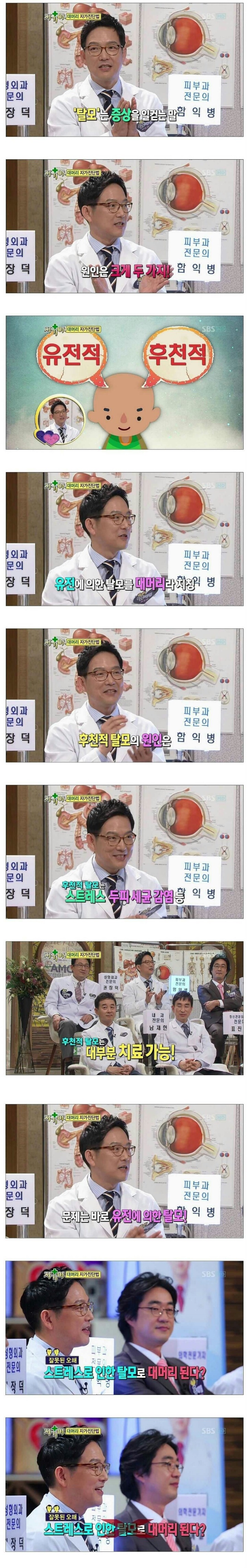 전문의가 알려주는 탈모상식 | 인스티즈
