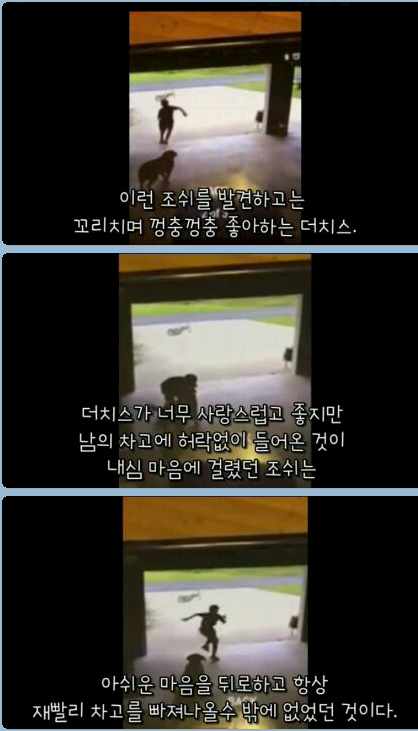 귀여운 무단침입자 | 인스티즈