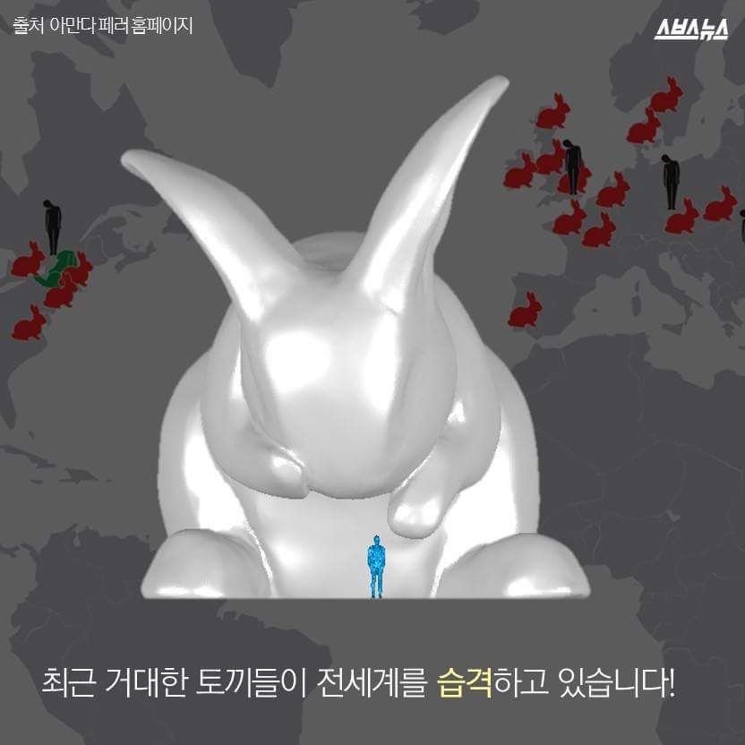 한국을 습격한 거대 토끼 | 인스티즈